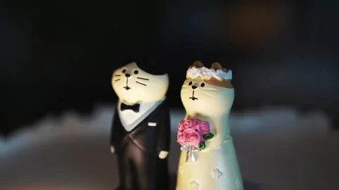 Cute cat figurines dressed as bride and groom for a whimsical wedding cake Stock Footage 277561867