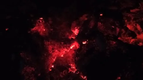 Cute cat Stock Footage 255033149