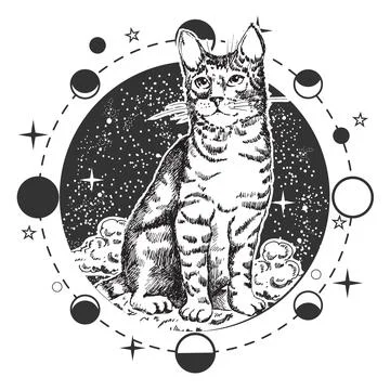 Cute cat full-length over cloudy, starry night sky round boho symbol Ilustração Stock