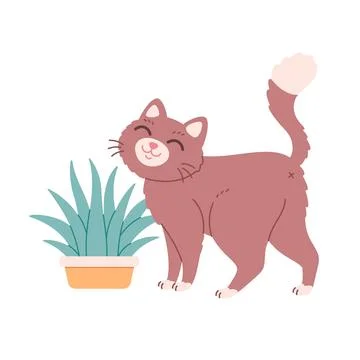 Cute cat with grass in a pot. Cat grass. Domestic pets, feline activities. Stock Illustration