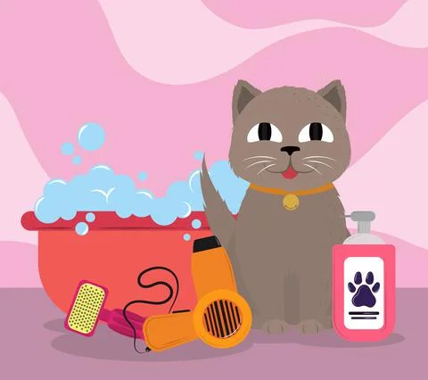 Cute cat grooming tools Illustration