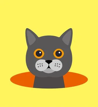 Cute cat on the hole, watching, vector illustration Stock Illustration