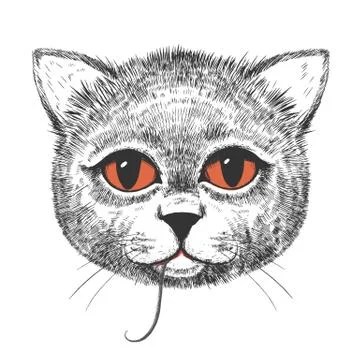Cute cat illustration Stock Illustration