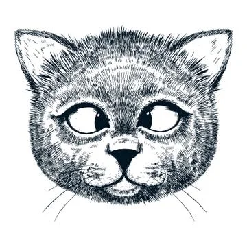 Cute cat illustration Stock Illustration