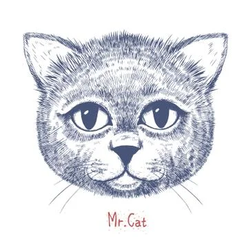 Cute cat illustration Stock Illustration