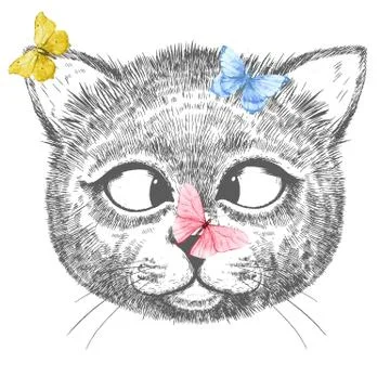 Cute cat illustration Stock Illustration