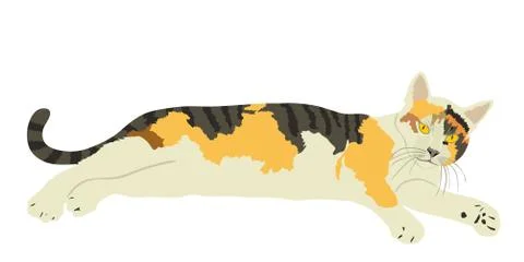 Cute cat lay on ground vector illustration isolated on white background. Illustrazione stock