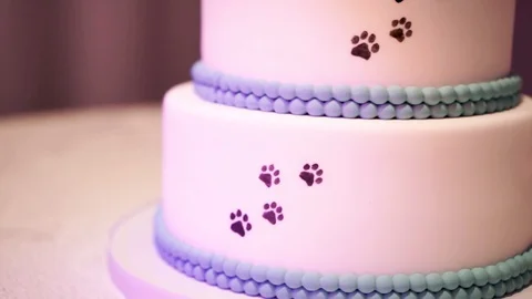 Cake with paw prints hotsell