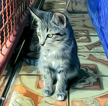 A Cute Cat Stock Photos