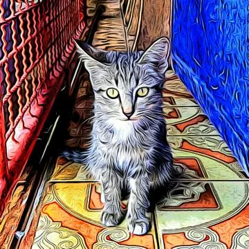 A Cute Cat Stock Photos