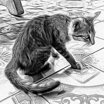 A Cute Cat Stock Photos