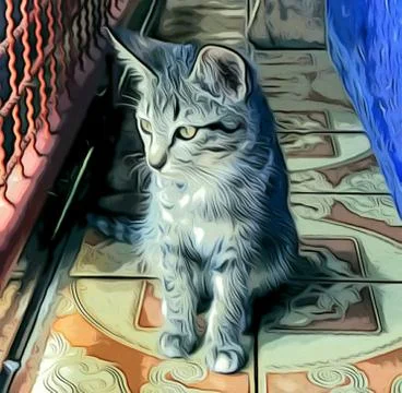 A Cute Cat Stock Photos