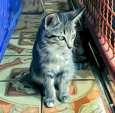 A Cute Cat Stock Photos