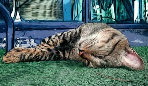 A Cute Cat Stock Photos