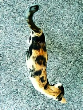 A Cute Cat Stock Photos