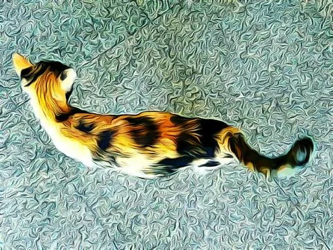 A Cute Cat Stock Photos