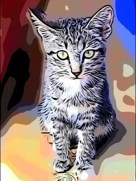 A Cute Cat Stock Photos