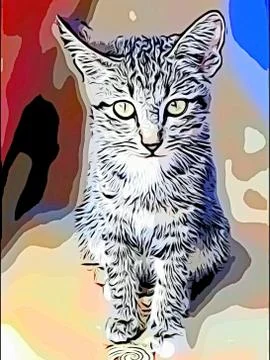 A Cute Cat Stock Photos