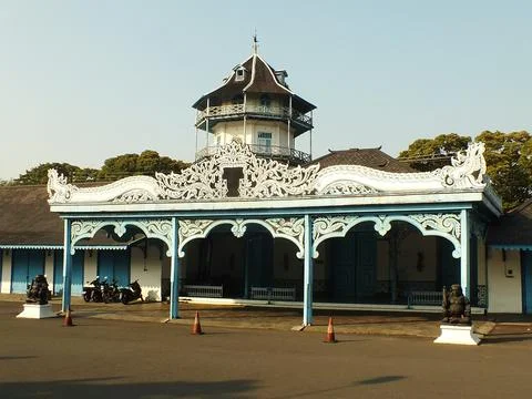 Cute cat Stock Photos