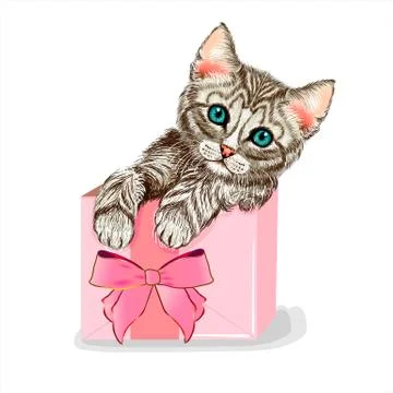 Cute Cat in a pink gift box. Cute kitten. Stock Illustration