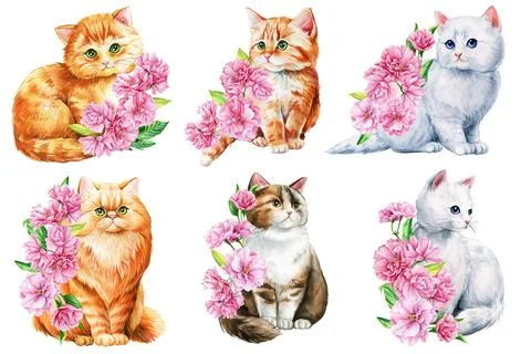 Cute cat set with pink apple flowers, sakura. Watercolor painting illustration Stock Illustration