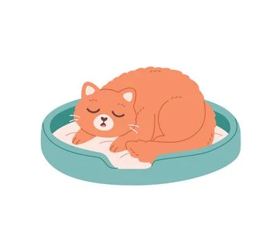 Cute cat sleeping in cat bed. Home cat life, cats supplies, feline 库存插图
