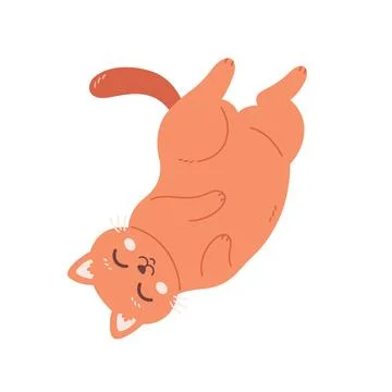 Cute cat sleeping. Home cat life, feline activities. Vector illustration Иллюстрация