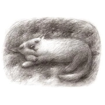 Cute Cat Sleeping on a Sofa Stock Illustration