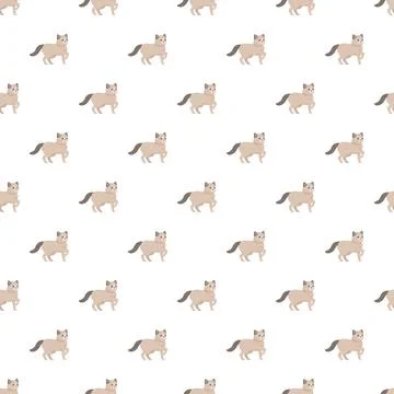 Cute cat walking pattern seamless background design 스톡 일러스트