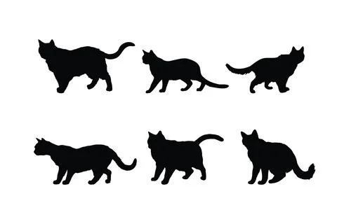 Cute cat walking silhouette bundle design. Cat standing in different positi.. Stock Illustration