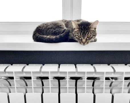 A cute cat is warming himself on the windowsill above the battery. Stock Photos