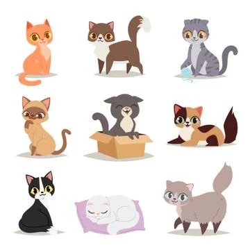 Cute cats character different pose vector Stock Illustration