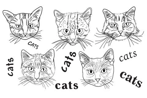 Cute cats hand drawn in the style doodle Stock Illustration