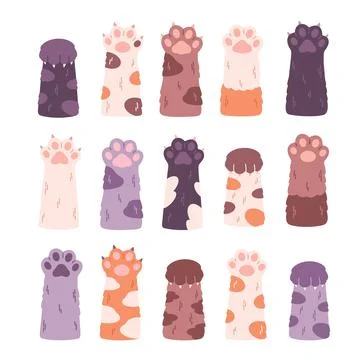 Cute cats paws collection. Different funny pet paws with claws, animals hands Stock Illustration
