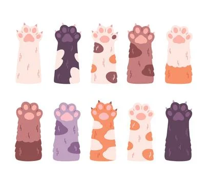Cute cats paws collection. Different funny pet paws with claws, animals hands Ilustração Stock