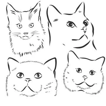 Cute cats. Vector illustration in black and white, portrait of a cat, cat hea Stock Illustration