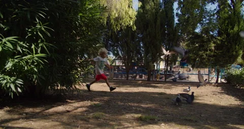 Cute caucasian playful boy scaring gray birds in park and them flying on camera Vidéo 165991253