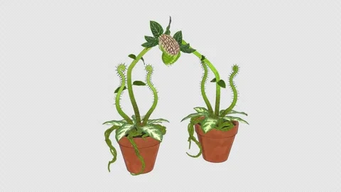 Cute Cel Shaded Carnivorous Plants Cuddling - Romantic cartoon 4K Vídeo Stock 342568290