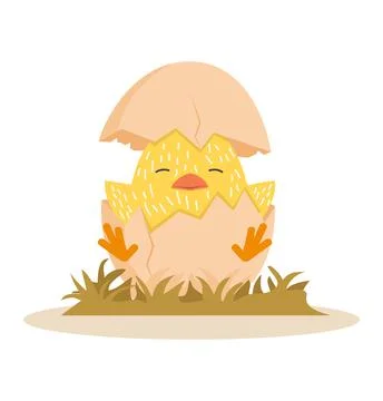 Cute chick in egg Cartoon vector Stock Illustration