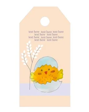Cute chick in eggshell and willow twig. Easter holiday. Tag or banner, postcard Stock Illustration