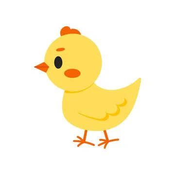 Cute chicken vector icon isolated on white background. Stock Illustration