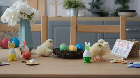 Cute Chicks Walking on a Table at Easter Stock Footage 168240046