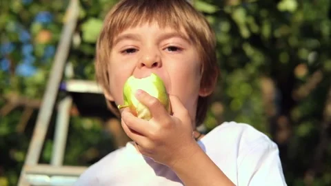 Cute child boy portrait, he is staying in apple tree garden outdoors eating Stock Footage 282724099