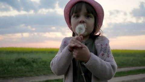 Cute Child Girl Portrait In Park Play Blow Dandelion Slow Motion, Female child Stock Footage