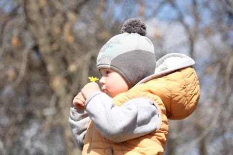 Cute child walking in the leafless spring park Stock Photos