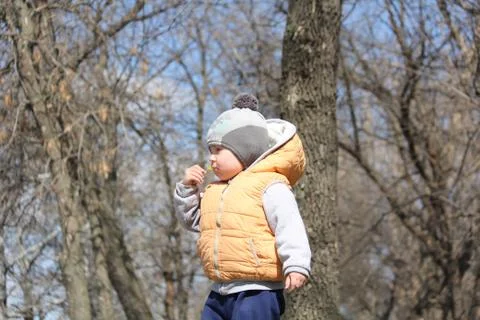 Cute child walking in the leafless spring park Foto stock