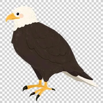 Cute children's book style Eagle Stock Illustration