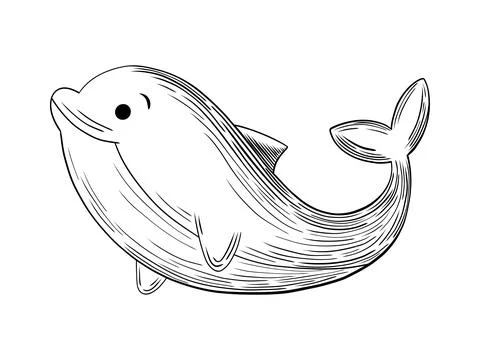 Cute Chubby Dolphin Hand Drawn Sketch Stock Illustration