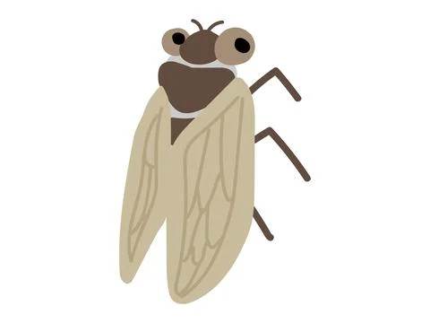 Cute cicada. Simple and flat design. Stock Illustration