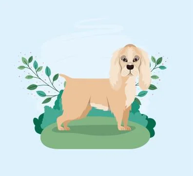 Cute cocker spaniel dog pet in the camp Stock Illustration